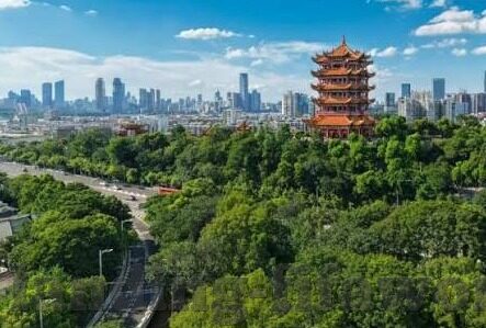 足球比分准确预测-足球比分预测，科学方法与实战经验的完美融合